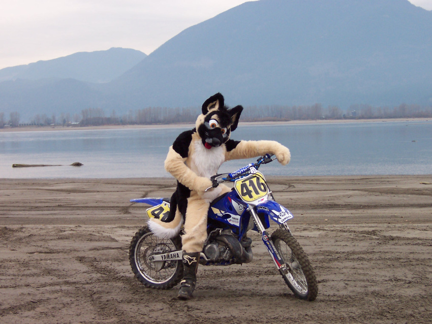 4:3 anthro canid canine canis clothing costume dirt_bike domestic_dog fursuit german german_shepherd grandfathered_content herding_dog hi_res male mammal motorcycle nature nitroshep outside pastoral_dog photo_background photography_(artwork) real sky solo tail unknown_artist vehicle