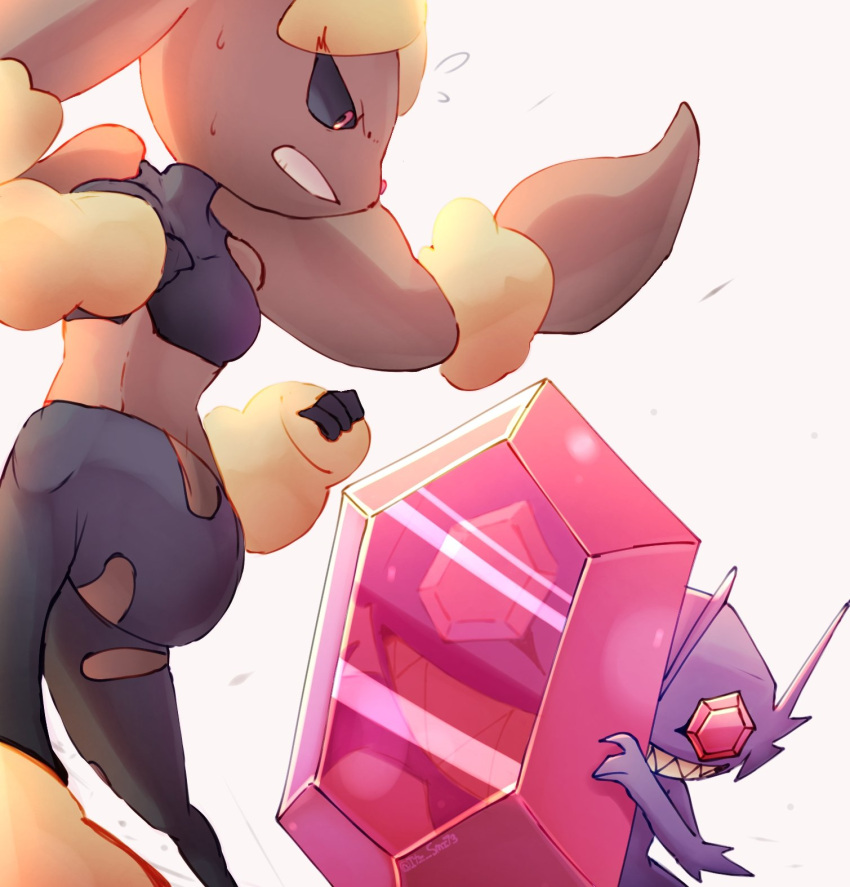 ambiguous_gender anthro brown_body brown_fur duo fight fur generation_6_pokemon hi_res itz_smi73 jewelry mega_evolution mega_lopunny mega_sableye nintendo pokemon pokemon_(species) purple_body reflection simple_background