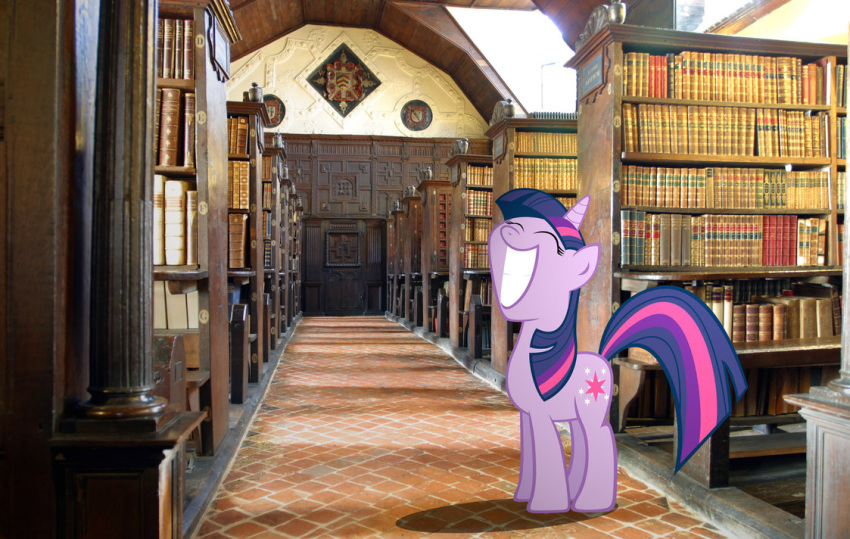 aisle bench book brick crest_(heraldry) day door equid equine female feral friendship_is_magic fur hair hallway happy hasbro horn inside library light mammal mixed_media multicolored_hair my_little_pony mythological_creature mythological_equine mythology photo_background photography_(artwork) pillar purple_body purple_fur purple_hair shelf shield sky smile solo sunlight symbol twilight_sparkle_(mlp) two_tone_hair unicorn unknown_artist window