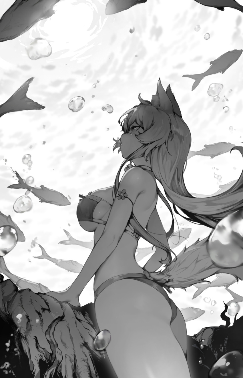 air_bubble animal_ear_fluff animal_ears arm_strap arm_support ass bare_shoulders bell bikini breasts bubble cat_ears cat_girl cat_tail coconut_(nekopara) commentary commission cowboy_shot curvy english_commentary female fish floating_hair from_side greyscale highres jingle_bell large_breasts long_hair looking_up monochrome neck_bell nekopara parted_lips profile rou_(rou22) sideboob sidelocks solo standing straight_hair swimsuit tail underwater water