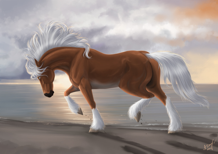 alexandradane ambiguous_gender beach blue_eyes cloud dolehest equid equine feral hi_res horse male_(lore) mammal maxym_(bloopertrooper) sand sea seaside sky skyscape solo sunrise trotting water