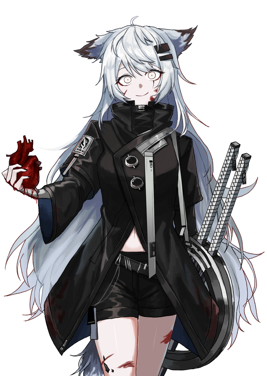 absurdres animal_ears arknights black_coat black_shorts blood blood_on_face closed_mouth coat cowboy_shot crazy_eyes female heart_(organ) high_collar highres holding_heart_(organ) holding_organ lappland_(arknights) long_hair long_sleeves looking_at_viewer midriff_peek scar scar_across_eye shorts simple_background smile solo sword weapon white_background white_eyes white_hair yanggaengwang