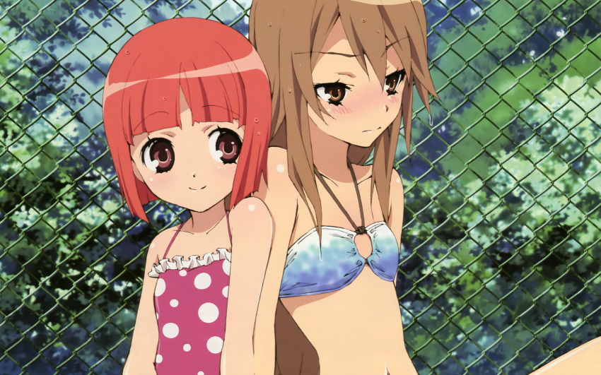 akai_ringo ookami-san_to_shichinin_no_nakama-tachi ookami_ryouko swimsuit tagme