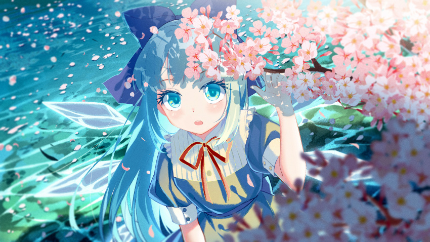 absurdres adapted_costume alternate_hair_length alternate_hairstyle blue_bow blue_dress blue_eyes blue_hair blush bow cherry_blossoms cirno commentary_request detached_wings dress female flower hand_up highres ice ice_wings jiege long_hair looking_at_viewer neck_ribbon outdoors petals petals_on_liquid red_ribbon ribbon river short_sleeves solo touhou tree upper_body water wings