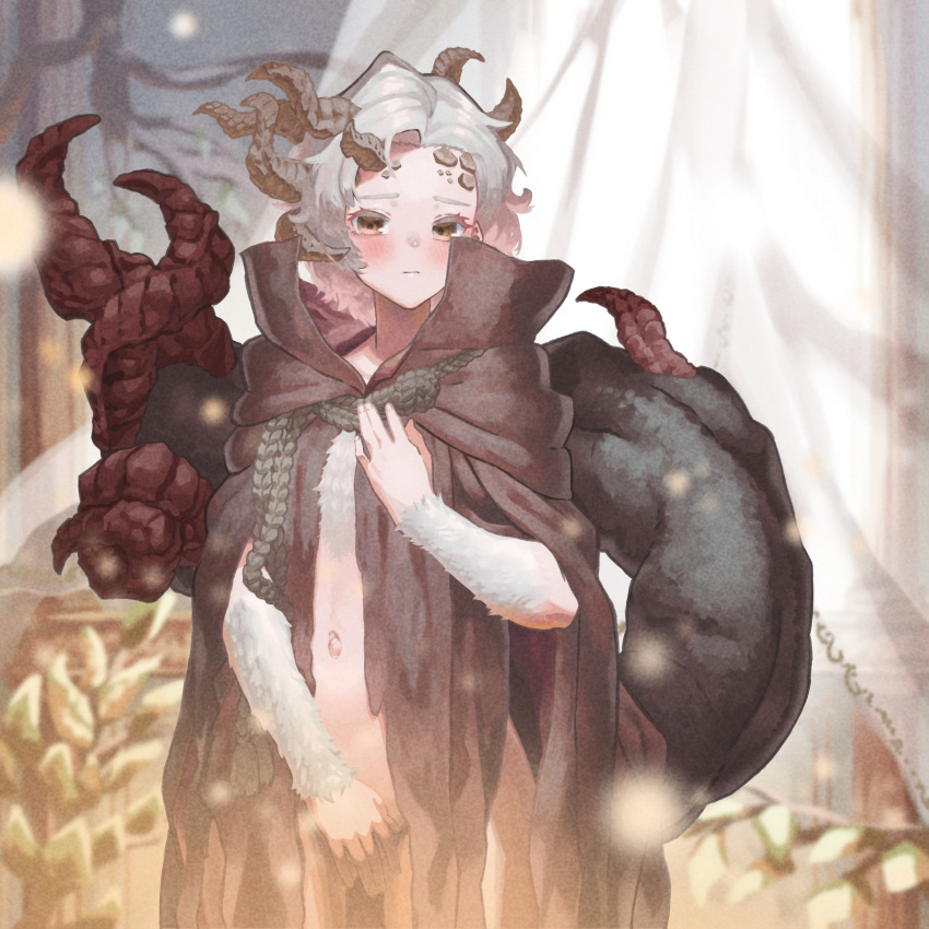 absurdres asymmetrical_horns blush brown_eyes brown_robe cape ekrea_jan elden_ring female genderswap_(mtf) highres horns looking_at_viewer margit_the_fell_omen mismatched_horns monster_girl multiple_horns naked_cape navel robe rule_63 solo stomach tail uneven_horns white_hair