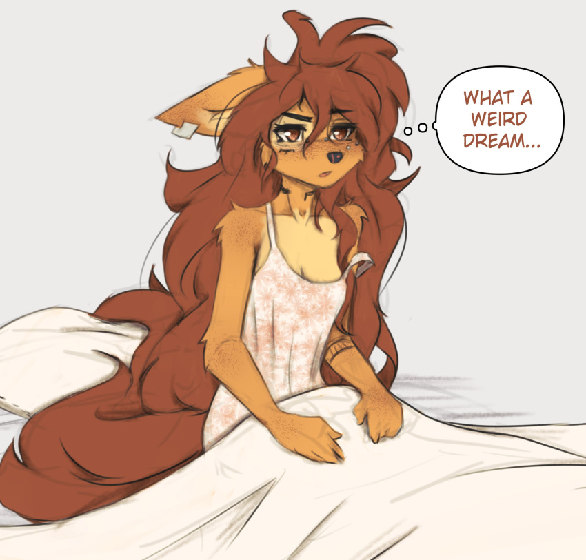 2023 anthro apogee_(tinygaypirate) bed bedding blanket breasts bridge_piercing canid canine canis cheek_piercing cleavage clothed clothing digital_media_(artwork) domestic_dog ear_piercing ear_ring english_text facial_piercing female female_anthro fur furniture hair hi_res kemono long_hair mammal nose_piercing off_shoulder piercing pillow reaction_image ring_piercing small_breasts solo spitz tattoo text thought_bubble tinygaypirate