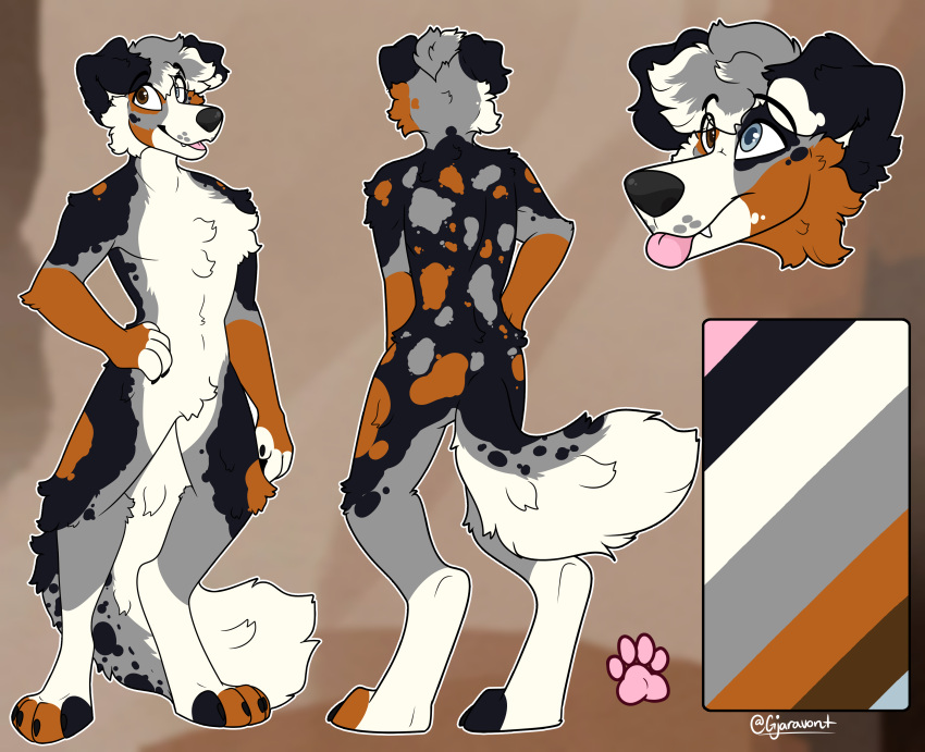 absurd_res australian_shepherd canid canine canis domestic_dog gjaravont herding_dog hi_res kiba_aussie male mammal markings model_sheet natural_colors pastoral_dog paws sheepdog smile smirk solo spots spotted_body