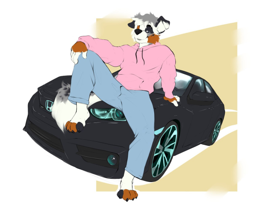 anthro australian_shepherd bottomwear canid canine canis car claws clothing denim denim_bottomwear denim_clothing domestic_dog herding_dog honda honda_civic hoodie jayfrid jeans kiba_aussie male mammal motor_vehicle pants pastoral_dog paws pink_clothing pink_hoodie pink_topwear sheepdog sitting_on_car sitting_on_vehicle smug solo topwear vehicle