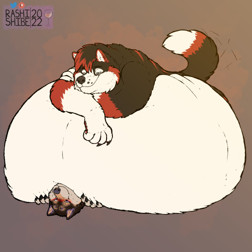 1:1 5_fingers anthro bear belly belly_smother belly_squish big_belly black_claws blush brown_body brown_fur canid canine canis claws domestic_dog duo fingers fur hand_on_another's_belly hands_on_belly hi_res huge_belly hybrid hyper hyper_belly lidded_eyes looking_at_another male mammal morbidly_obese morbidly_obese_anthro morbidly_obese_male obese obese_anthro obese_male overweight overweight_anthro overweight_male pawpads rashi_(rashishibe) rashishibe red_pawpads shiba_inu simple_background spitz squish tail tail_motion tailwag white_belly wolf