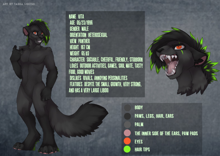 absurd_res anthro black_body black_fur black_hair claws clenched_teeth english_text fangs felid fluffy fluffy_tail fur green_hair hair hi_res male mammal model_sheet multicolored_hair open_mouth open_smile orange_eyes pantherine scar smile solo tail tashalisets teeth text tongue two_tone_hair