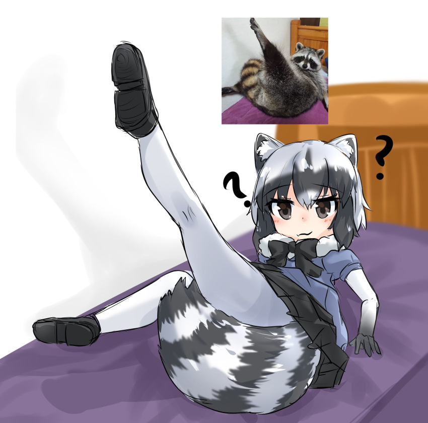 ? animal animal_ear_fluff animal_ears black_bow black_bowtie black_footwear black_gloves black_hair black_skirt blue_sweater bow bowtie brown_eyes common_raccoon_(kemono_friends) female full_body fur_collar gloves gradient_gloves grey_hair hair_between_eyes hashtag-only_commentary highres kemono_friends kneepits leg_up light_blush looking_at_viewer lying multicolored_hair on_back on_bed pantyhose photo_inset pleated_skirt raccoon raccoon_ears raccoon_girl raccoon_tail reference_inset rexeig shoe_soles shoes short-sleeved_sweater short_hair short_sleeves simple_background skirt smile solo striped_tail sweater tail two-tone_hair white_gloves white_pantyhose