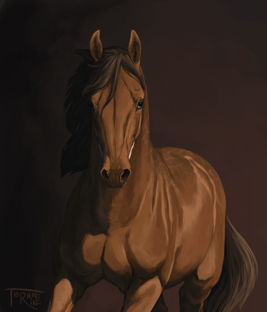 2022 ambiguous_gender blue_eyes brown_body brown_hair brown_mane brown_tail digital_media_(artwork) dolero equid equine feral hair hi_res horse looking_at_viewer male_(lore) mammal mane portrait simple_background solo tail ternarin three-quarter_portrait