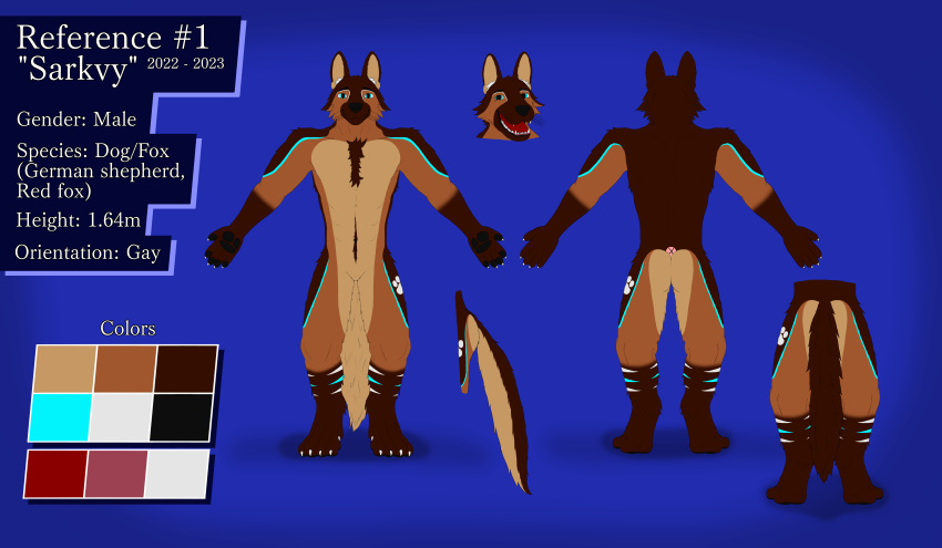 absurd_res anthro blue_background blue_eyes blue_markings brown_body brown_fur canid canine canis chest_fur domestic_dog english_text fox fur german_shepherd herding_dog hi_res inner_ear_fluff male mammal markings model_sheet nude open_mouth pastoral_dog paw_markings red_fox red_tongue sarkvy sheepdog simple_background solo t-pose text tongue true_fox tuft