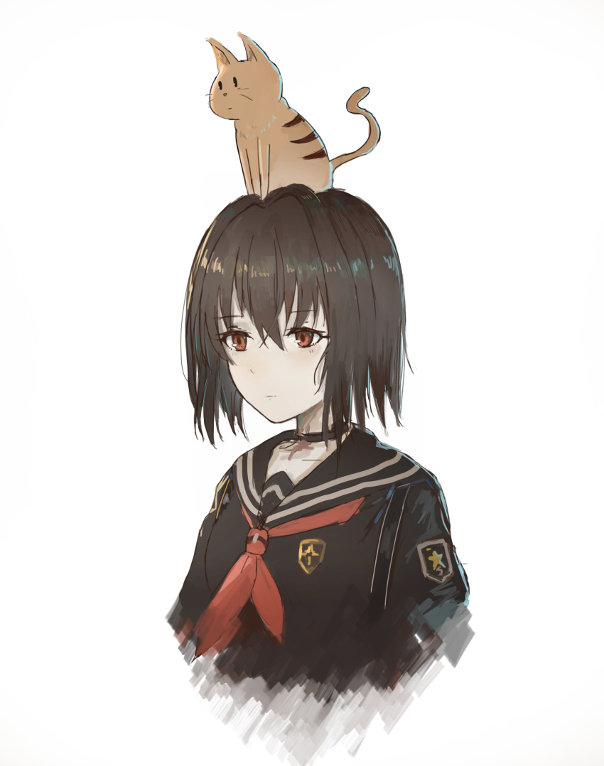 neko tagme