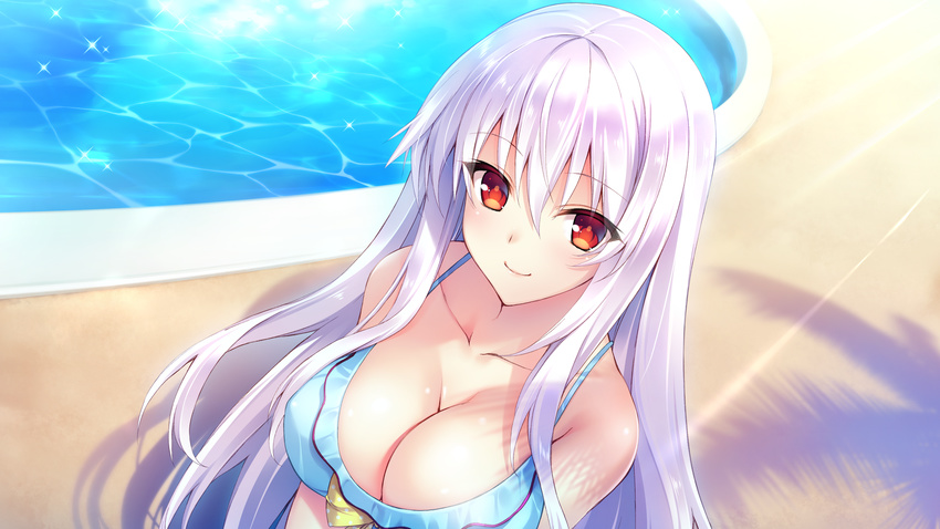 bikini blush breasts bug_system cleavage farah_perellies game_cg haze_man_-_the_local_hero_- kyou_(kurifuto) long_hair red_eyes swimsuit water white_hair