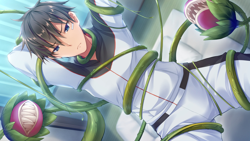 all_male aqua_eyes bandaid black_hair bug_system daichi_shoutarou flowers game_cg haze_man_-_the_local_hero_- kyou_(kurifuto) male short_hair tentacle