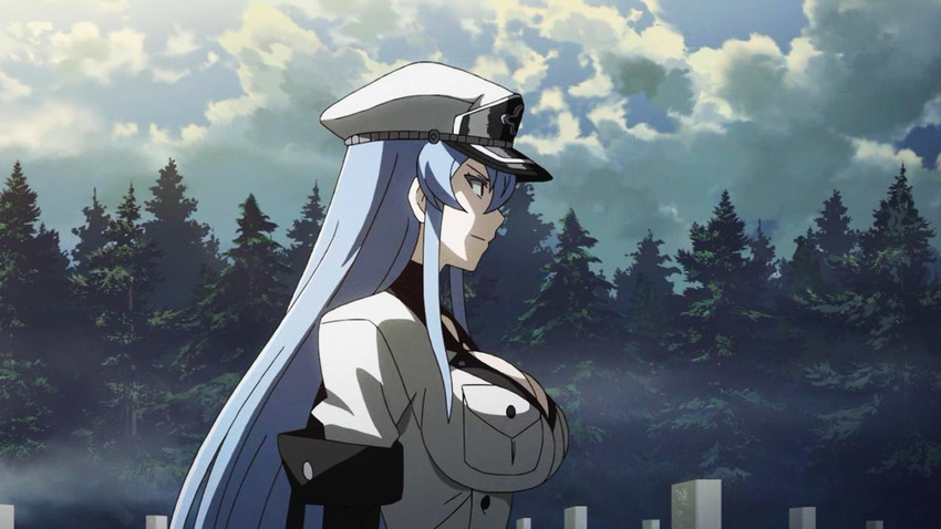 akame_ga_kill! aqua_hair blue_hair breasts choker esdeath esdese female general general(shogun) hat highres large_breasts long_hair military military_uniform peaked_cap solo standing