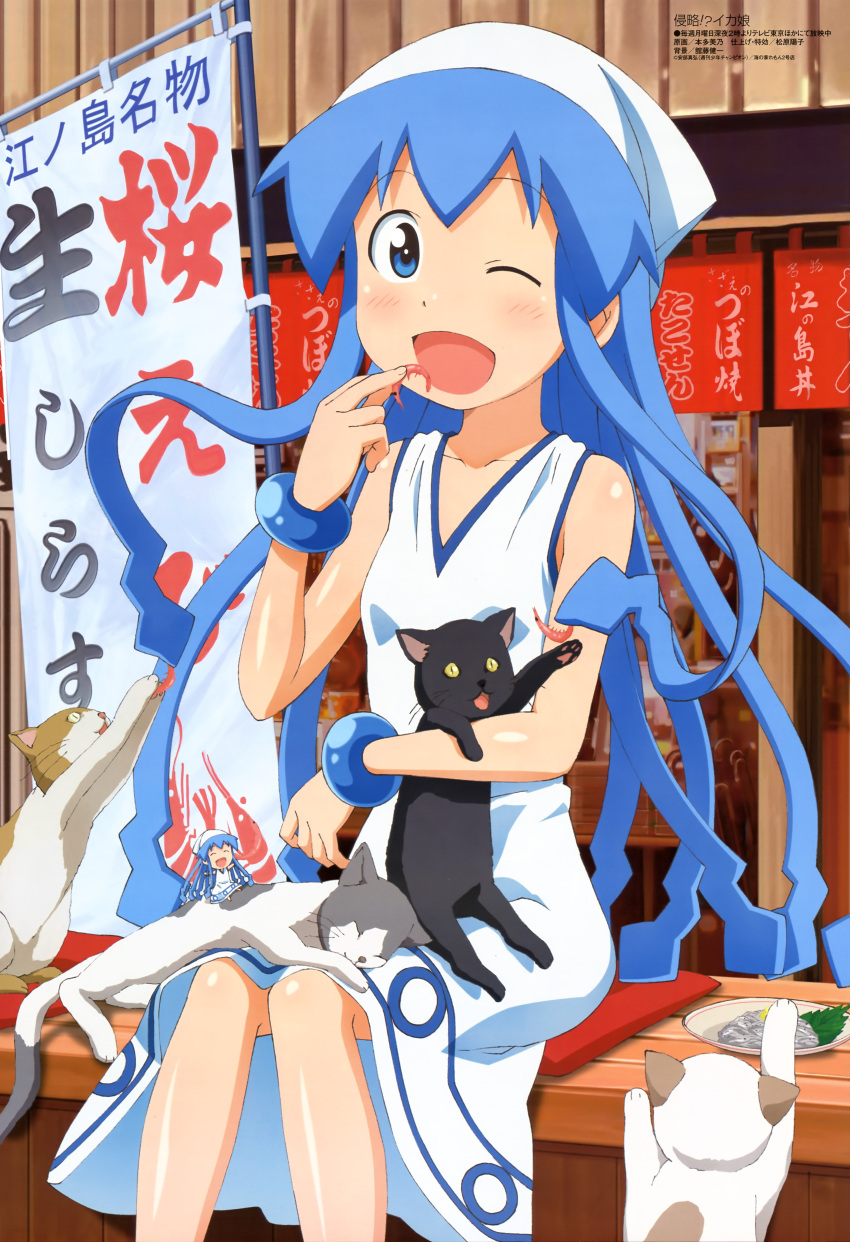 2girls ;d absurdres animal black_cat blue_hair feline hat highres honda_yoshino ikamusume imageboard_desourced long_hair megami_magazine mini-ikamusume multiple_girls non-web_source official_art one_eye_closed open_mouth shinryaku!_ikamusume smile tentacle very_long_hair