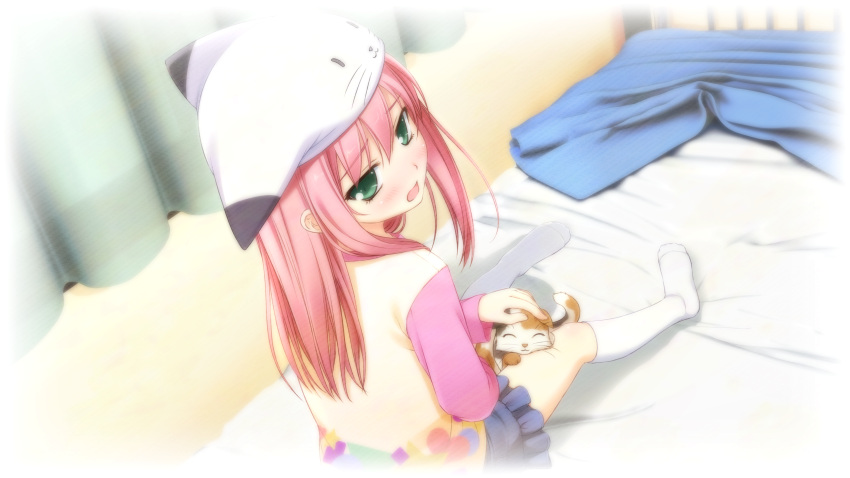 animal_hat blush calico casual curtains feline female game_cg hat highres kazami_haruki kneehighs looking_back ninomae_sakura open_mouth shunki_gentei_poco_a_poco! sitting socks solo white_socks