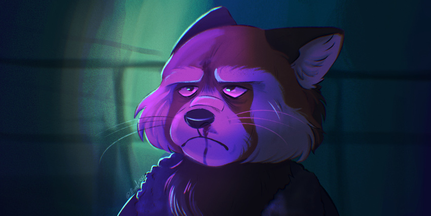 absurd_res ailurid anthro band-aid bandage baufroy blade_runner blood bodily_fluids broken_nose brown_eyes clothing coat depression digital_media_(artwork) eye_bags frown hi_res looking_up male mammal meme nosebleed parody purple_light red_panda solo tired_look topwear