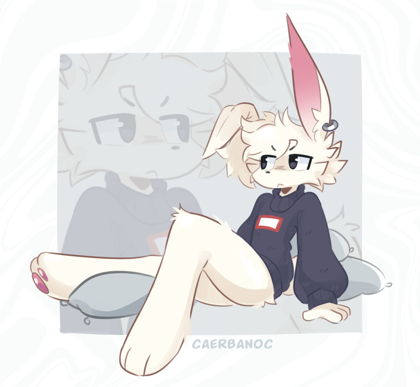 anthro bottomless carbanogg clothed clothing ear_piercing ear_ring fur grey_eyes hi_res lagomorph leporid male mammal pawpads piercing pillow rabbit ring_piercing sitting solo sweater sweater_only topwear topwear_only white_body white_fur