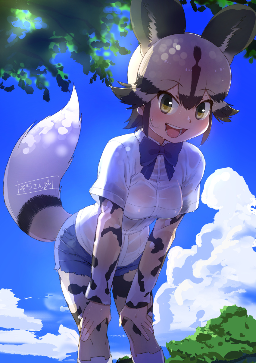 :d absurdres african_wild_dog_(kemono_friends) african_wild_dog_print animal_ears animal_print backlighting black_hair blue_sky blush bow bowtie breasts brown_hair cloud collared_shirt commentary day denim denim_shorts dog_ears dog_girl dog_tail extra_ears female gloves green_eyes hands_on_own_knees highres kemono_friends layered_sleeves leaning_forward legs_apart light_brown_hair long_sleeves looking_at_viewer masuyama_ryou medium_breasts multicolored_hair open_mouth outdoors outstretched_arms pantyhose pantyhose_under_shorts print_pantyhose print_sleeves round_teeth see-through see-through_shirt shirt short_hair short_over_long_sleeves short_shorts short_sleeves shorts sky smile solo standing sweat tail teeth tree two-tone_hair upper_teeth_only wet wet_clothes wet_face wet_hair wet_shirt white_shirt