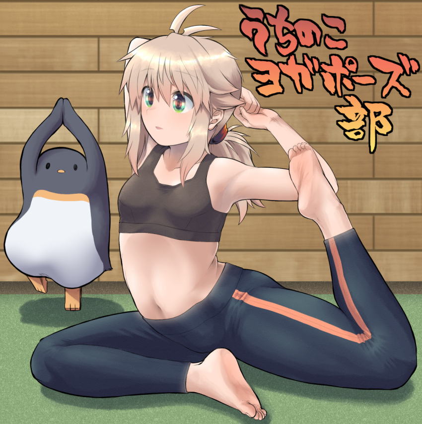 1other ahoge armpits arms_behind_head arms_up barefoot bird black_pants black_sports_bra blonde_hair breasts commentary_request feet female flexible full_body green_eyes highres hijikata-san_(m.m) koshirae_tsurugi_(m.m) legs long_hair m.m navel original own_hands_together pants penguin pigeon_pose ponytail sitting small_breasts soles sports_bra stretching thighs toes track_pants yoga