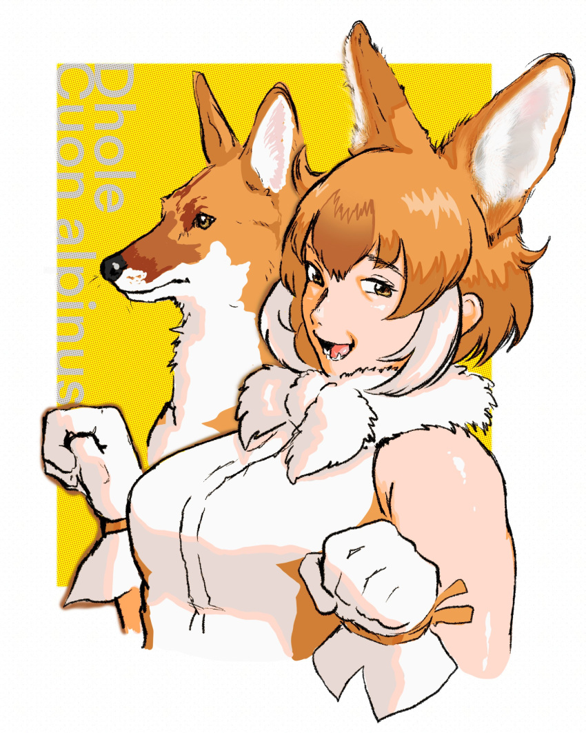 absurdres animal_ears bare_shoulders blush bow breasts brown_hair creature_and_personification dhole dhole_(kemono_friends) dog_ears dog_girl extra_ears female gloves highres kemono_friends kemono_friends_3 large_breasts latin_text looking_at_viewer multicolored_hair open_mouth shirt short_hair sleeveless smile solo suzume_maru2 tail two-tone_hair white_hair