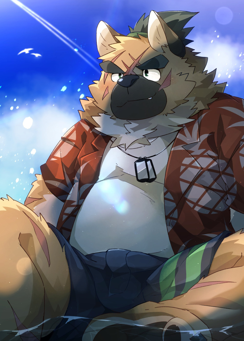 absurd_res aloha_shirt anthro belly boar_stag144 bottomwear brown_body brown_fur canid canine canis clothing domestic_dog eyebrows fur hi_res jewelry lifewonders male mammal necklace pattern_clothing pattern_shirt pattern_topwear scar shirt shorts sitting slightly_chubby solo thick_eyebrows tokyo_afterschool_summoners topknot topwear yasuyori_(tas)