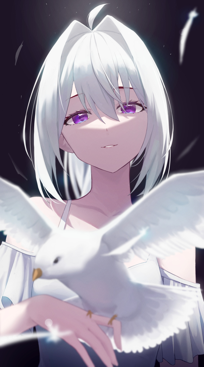 absurdres ahoge animal bare_shoulders bird blurry blurry_foreground collarbone commentary depth_of_field dress feathers female hair_between_eyes hair_intakes head_tilt highres huhi_(huhi_1211) ine_(vtuber) looking_at_viewer off-shoulder_dress off_shoulder parted_lips purple_eyes solo virtual_youtuber waktaverse white_dress white_feathers white_hair