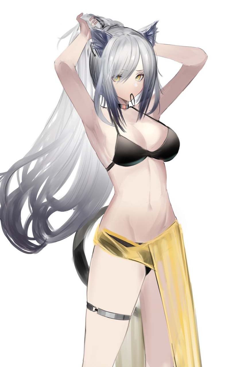 animal_ears arknights armpits arms_up bare_arms bare_shoulders bikini black_bikini black_choker breasts cat_ears cat_tail choker cleavage commentary cowboy_shot eugle_na female grey_hair hair_tie_in_mouth hand_in_own_hair hands_in_hair highres holding holding_own_hair large_breasts long_hair mouth_hold navel ponytail sarong schwarz_(arknights) simple_background solo standing stomach swimsuit tail thigh_strap thighs tying_hair very_long_hair white_background yellow_eyes