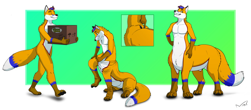 2020 5_fingers anthro anthro_to_taur barteck_(daniel156161) base_one_layout basic_sequence blue_body blue_fur box canid canid_taur canine canine_taur claws clothing container costume daniel156161_(character) fingers four_frame_image four_frame_sequence fox fox_taur fur furry_wearing_fursuit fursuit hi_res linear_sequence male mammal mammal_taur multicolored_body multicolored_fur multiple_poses nisharu one_row_layout orange_body orange_fur pose sequence solo taur taurification taurified taursuit transformation transformation_sequence white_body white_fur