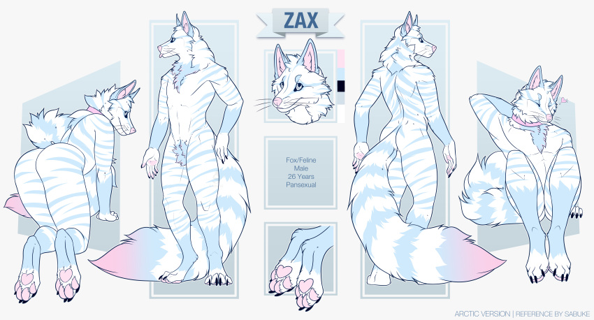 absurd_res anthro arctic canid canine domestic_cat english_text felid feline felis fluffy fox hi_res hybrid male mammal model_sheet paws sabuky solo stripes tabby_cat text thick_thighs zax_(zwalexan)