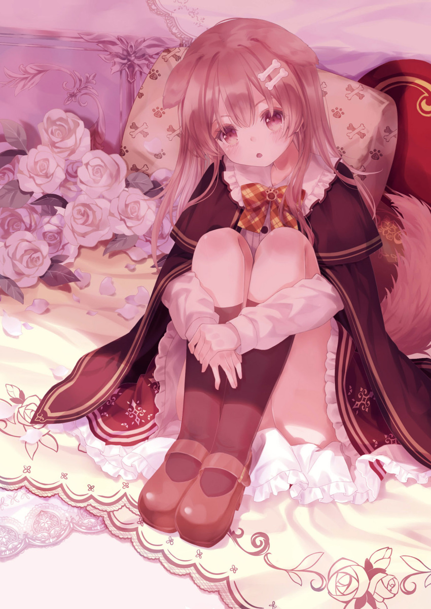 54hao :o animal_ears black_cloak black_skirt black_socks bone_hair_ornament bow brown_eyes brown_footwear brown_hair cartoon_bone cloak commentary dog_ears dog_girl dog_tail female flower frilled_skirt frills hair_ornament highres hololive hugging_own_legs inugami_korone knees_up long_hair looking_at_viewer parted_lips petals pillow plaid_bow rose rose_petals shirt shoes sitting skirt socks solo tail virtual_youtuber white_flower white_rose white_shirt