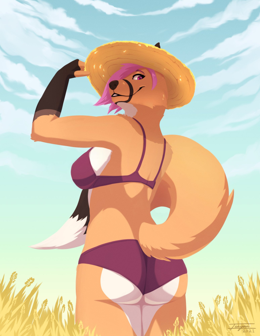 2021 anthro ass black_nose bra breasts butt_pose canid canine clothed clothing day detailed_background digital_media_(artwork) female fox hi_res mammal outside panties pose sky smile solo standing tenynn underwear