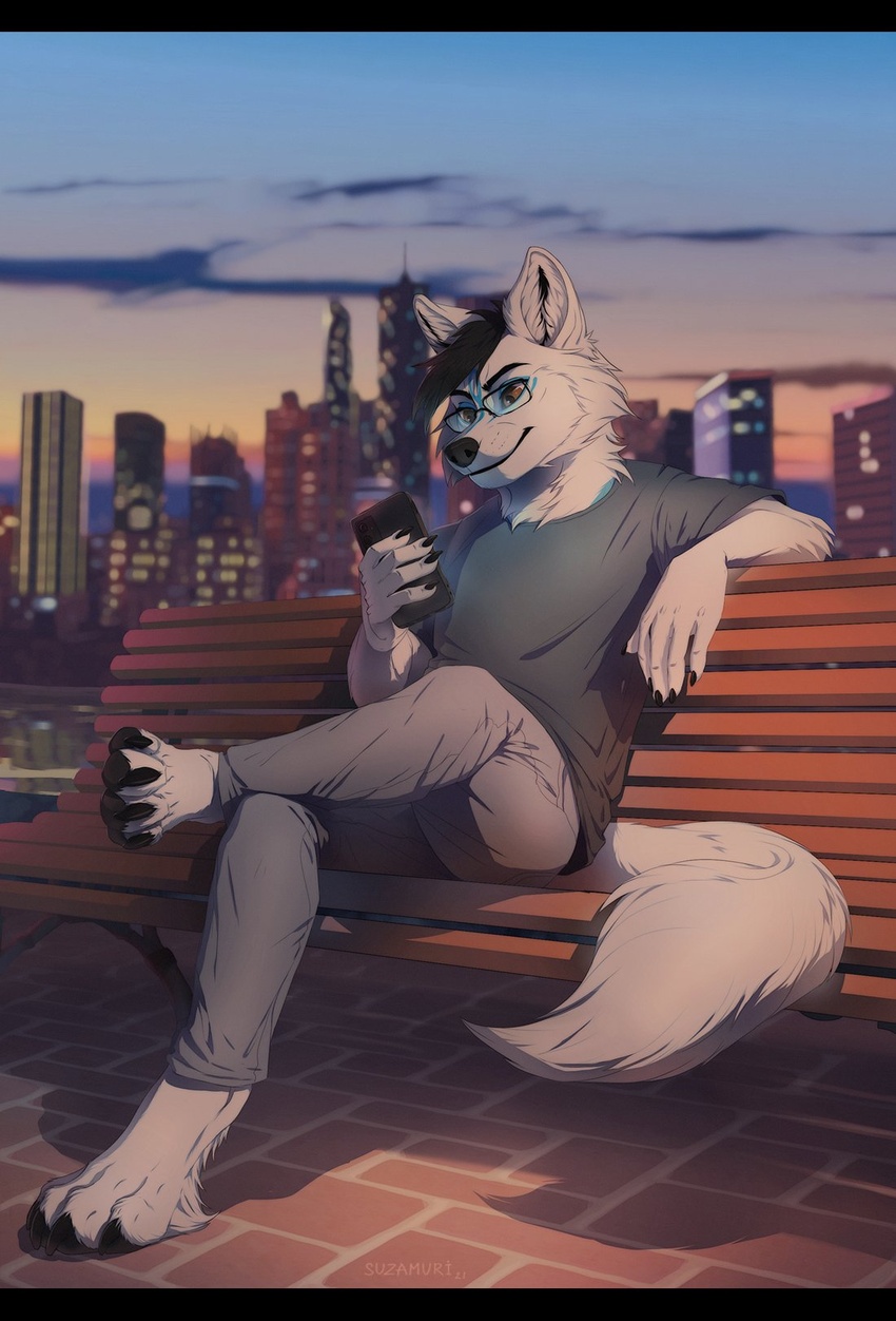 anthro black_bars black_hair black_nose canid canine canis classes clothed clothing day detailed_background hair hi_res letterbox male mammal outside sky smile solo suzamuri wolf