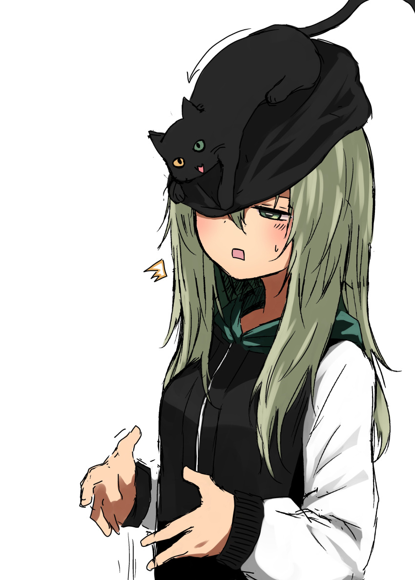 +_- absurdres animal_on_head beanie black_cat commentary_request dropping feline female green_eyes green_hair hair_between_eyes hat highres hood hood_down hoodie kamatama kuso_zako_choroin_nishiga_hachi long_hair on_head one_eye_covered open_mouth saiba_mirai simple_background standing surprised white_background