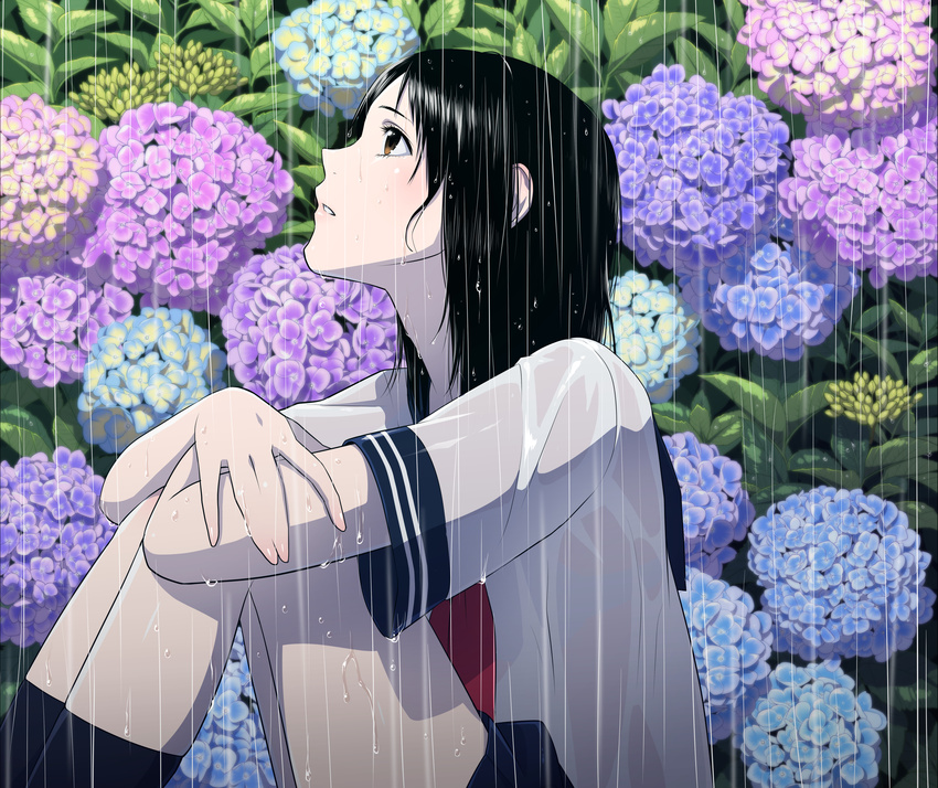 absurdres black_hair black_socks brown_eyes commentary_request female flower from_side highres hugging_own_legs hydrangea kalua kneehighs knees_up long_hair looking_up neckerchief original parted_lips pink_lips plant profile rain school_uniform serafuku shirt short_sleeves sitting skirt socks solo water_drop wet wet_clothes wet_hair wet_shirt