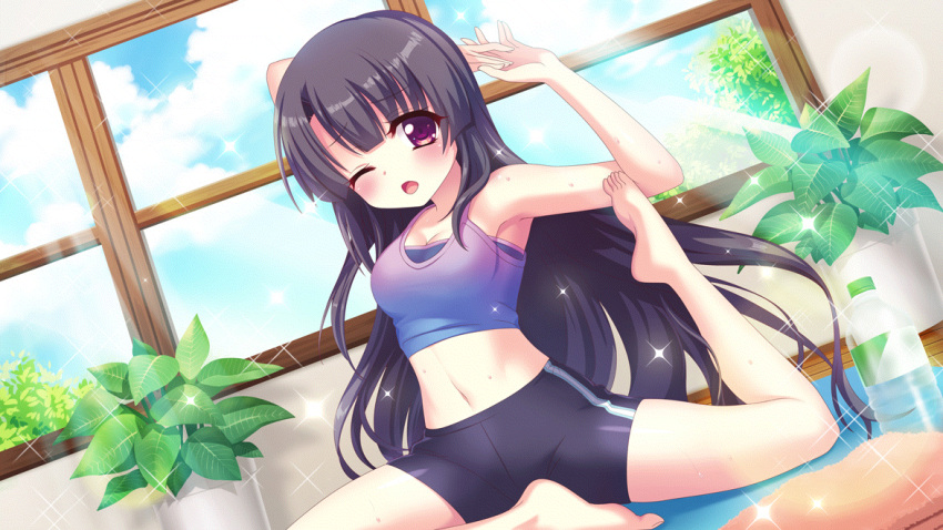 armpits bare_arms bare_legs bare_shoulders barefoot bike_shorts black_hair black_shorts blue_sky bottle breasts cleavage cloud cloudy_sky crop_top day dot_nose dutch_angle female film_grain game_cg ichikishima_mizuha indoors izumi_tsubasu large_breasts lens_flare long_hair midriff navel non-web_source official_art on_floor one_eye_closed open_mouth petite pigeon_pose plant potted_plant purple_eyes purple_sports_bra purple_tank_top re:stage! shorts single_vertical_stripe sky solo sparkle sports_bra straight_hair sunlight sweat tank_top towel very_long_hair water_bottle white_stripes window wooden_floor yoga yoga_mat