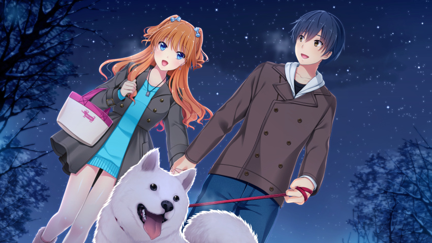 1boy akino_subaru aoi_hinata_(gin'iro_haruka) bare_legs blue_dress blue_eyes blue_hair blue_pants blue_sweater brown_coat brown_eyes canine coat couple dress female floating_hair game_cg gin'iro_haruka holding_hands long_hair long_sleeves looking_at_another niimi_yukito open_clothes open_coat orange_hair pants samoyed_(dog) shiny_skin short_dress short_hair sky star_(sky) starry_sky straight sweater sweater_dress thigh_gap very_long_hair walking winter