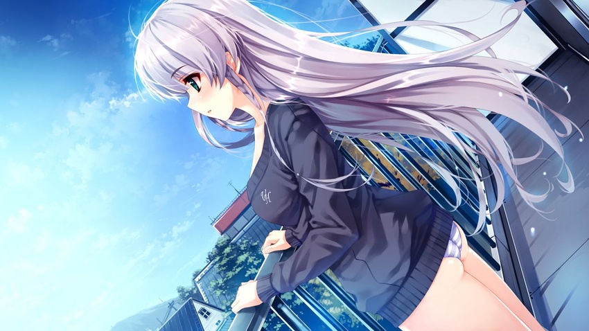 ass bangs black_sweater blue_sky braid collarbone cowboy_shot day dutch_angle eyebrows_visible_through_hair female floating_hair furukawa_yui game_cg green_eyes hair_between_eyes long_hair long_sleeves misaki_kurehito outdoors panties parted_lips profile rooftop shiny shiny_hair sky solo standing striped striped_panties sweater underwear ushinawareta_mirai_wo_motomete very_long_hair white_hair