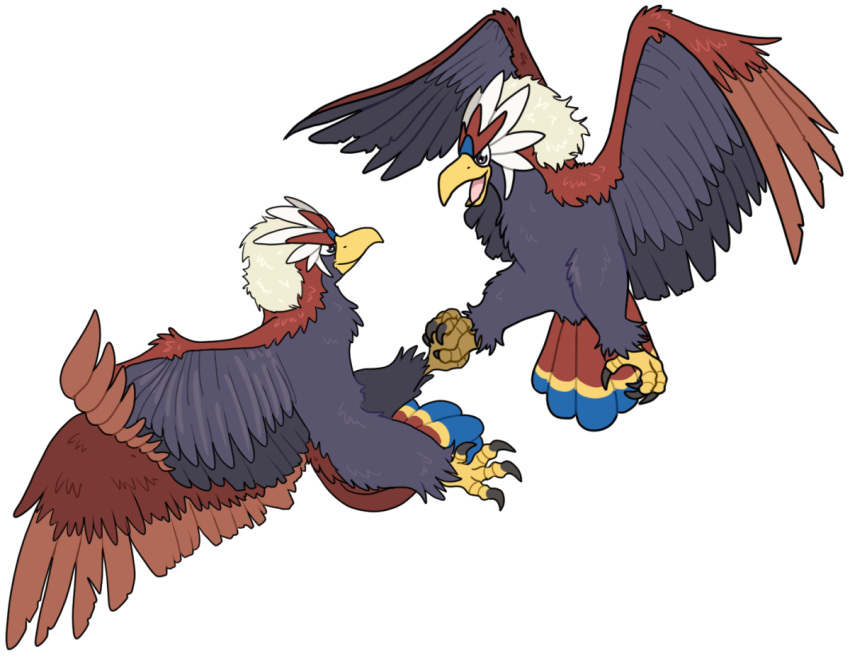 accipitrid accipitriform ambiguous_gender avian bird birdofprey braviary duo eagle entwined_toes female female/female generation_5_pokemon hand_holding interlocked_fingers littlepinebox male male/female male/male nintendo pokemon pokemon_(species) rufflet wings