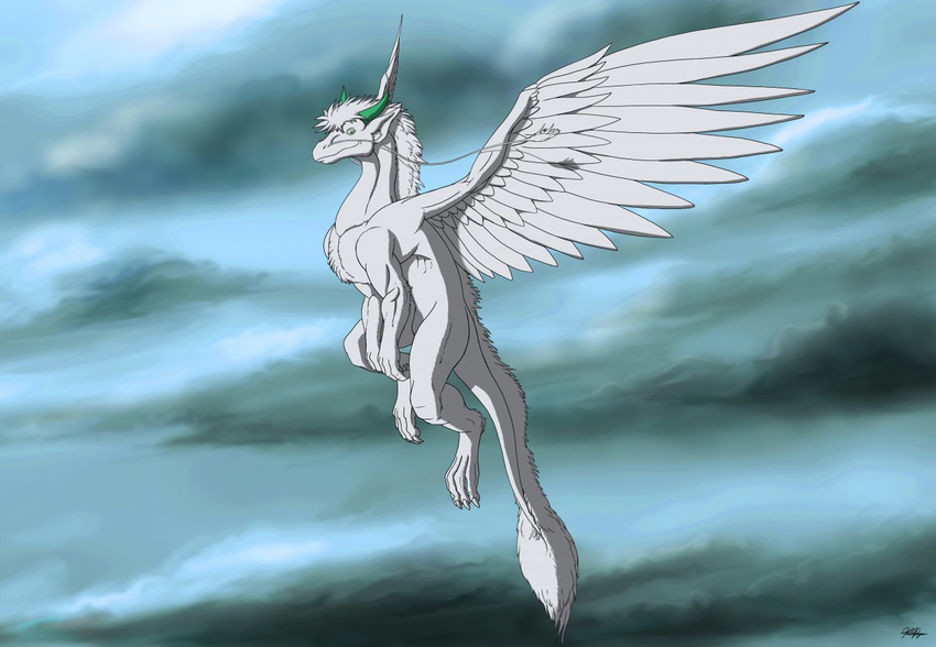 angel_dragon day dragon feathered_dragon feathered_scalie feathered_wings feathers feral flying kevindragon male mythological_creature mythological_scalie mythology outside scalie sckhar sky smile solo tail wings