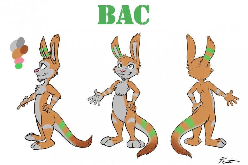 anthro chest_tuft digital_media_(artwork) facial_hair fan_character fur goatee green_eyes jak_and_daxter kbooki male mammal multiple_poses mustelid naughty_dog orange_body orange_fur ottsel paws pose semi-anthro simple_background solo sony_corporation sony_interactive_entertainment streaking tuft