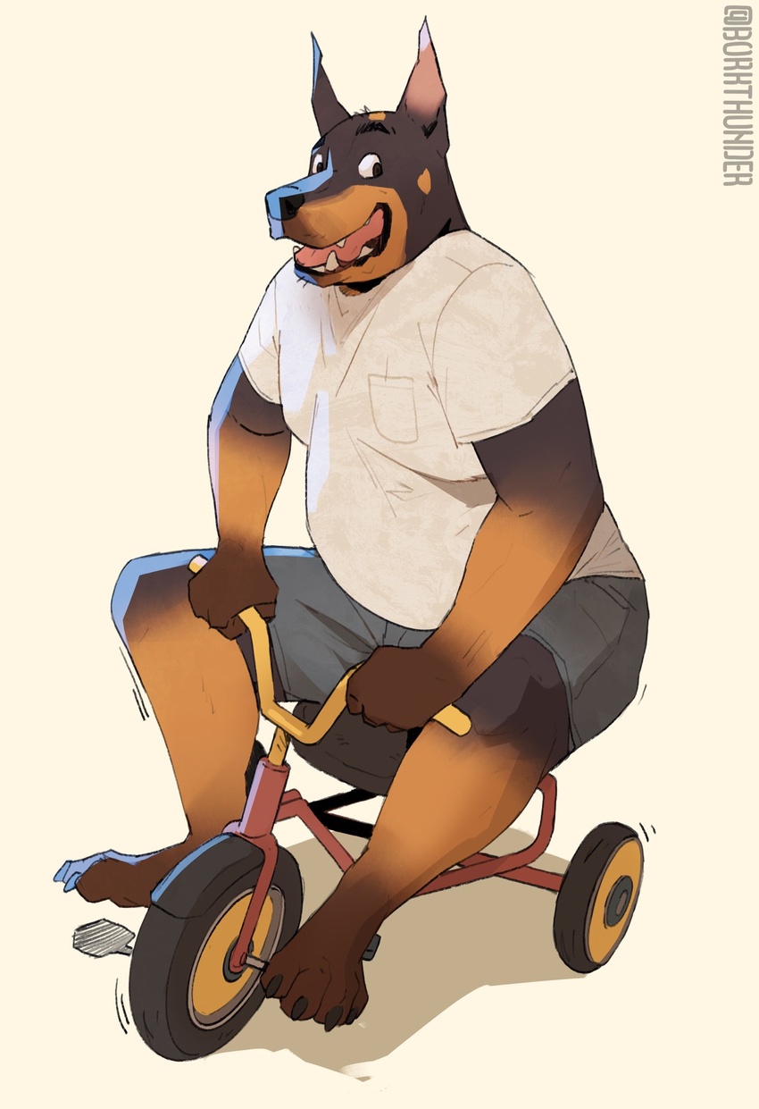 2023 anthro bicycle black_body black_fur borkthunder bottomwear canid canine canis clothing cycling dante_(borkthunder) dobermann domestic_dog fur hi_res male mammal overweight overweight_male pinscher shirt shorts solo topwear tricycle vehicle