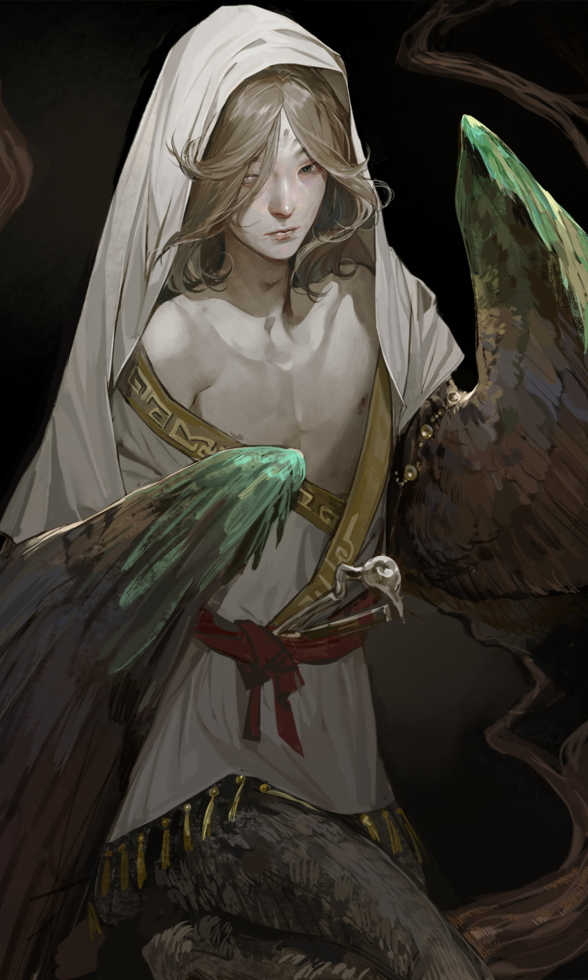 1boy absurdres animal_feet bird_legs bird_wings bishounen black_background branch brown_hair brown_wings closed_mouth feathered_wings getian_(reverse:1999) harpy_boy highres in_tree looking_at_viewer male_focus medium_hair monster_boy nipples reverse:1999 skinny solo squatting tree vats9_9 veil white_hanfu winged_arms wings