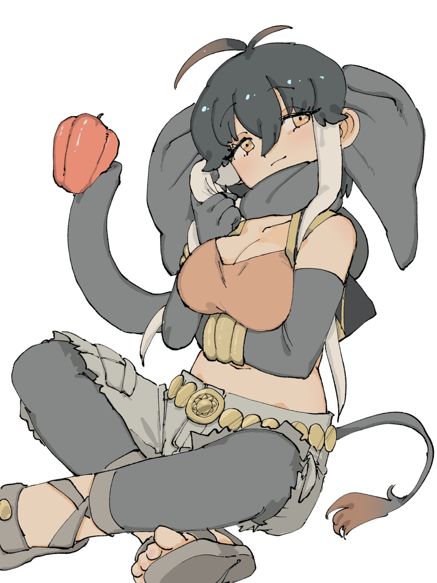 animal_ears bell_pepper borneo_elephant_(kemono_friends) bracelet breasts brown_shirt cleavage crop_top crossed_legs cutoffs elbow_gloves elephant_ears elephant_girl elephant_tail female gloves gold_belt grey_footwear grey_gloves grey_hair grey_pants grey_scarf grey_shorts hair_between_eyes highres jewelry kemono_friends midriff multicolored_hair navel orange_eyes pants sandals scarf shirt short_hair_with_long_locks shorts sidelocks sitting sleeveless solo torento two-tone_hair white_hair