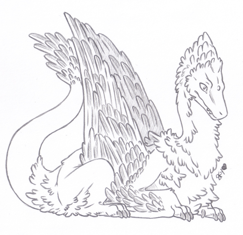 ambiguous_gender butt_tuft chest_tuft claws dragon european_mythology feathered_dragon feathered_scalie feathered_wings feathered_wyvern feathers feral fluffy hi_res line_art lying male_(lore) mythological_creature mythological_scalie mythology neck_tuft paws reptile scalie signature simple_background skyfifer solo tail tail_tuft teeth traditional_media_(artwork) tuft western_dragon white_background wings wyvern