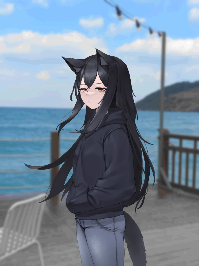 absurdres alternate_costume animal_ears arknights black_hair black_hoodie blue_sky casual cloud commentary day female grey_pants hand_in_pocket highres hood hoodie long_hair looking_at_viewer outdoors pants photo_background railing siguya sky solo tail texas_(arknights) very_long_hair wolf_ears wolf_tail yellow_eyes