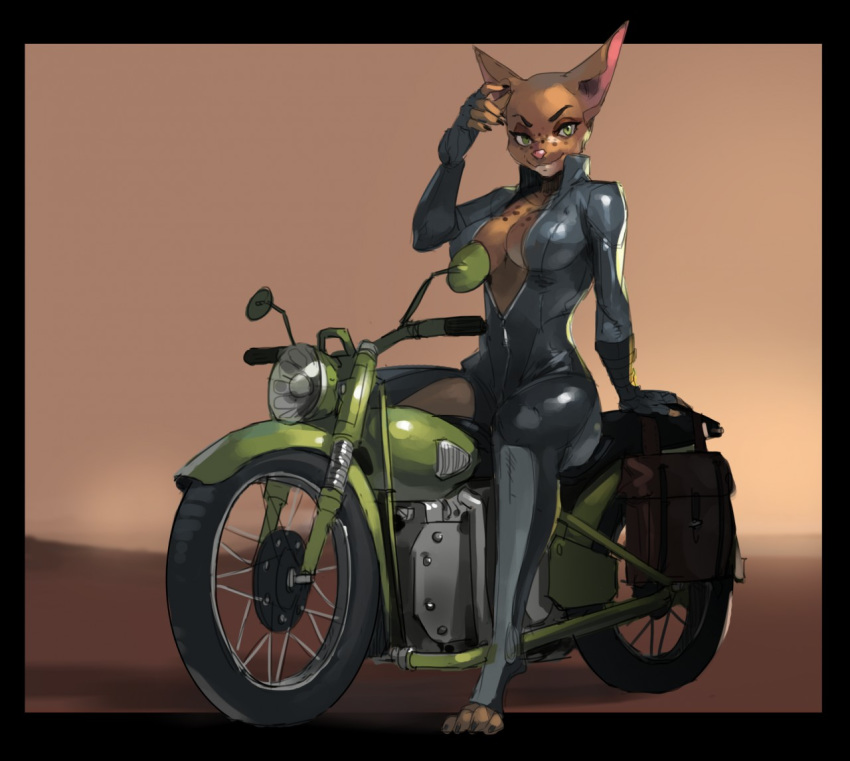 2017 bodysuit breasts cleavage clothed clothing domestic_cat eyebrows eyelashes felid feline felis female green_eyes hairless hairless_cat hana_hakken jacket leather leather_clothing leather_jacket leather_topwear looking_at_viewer mammal motorcycle shimizuryu simple_background skinsuit solo sphynx_(cat) tight_clothing toeless_legwear topwear vehicle